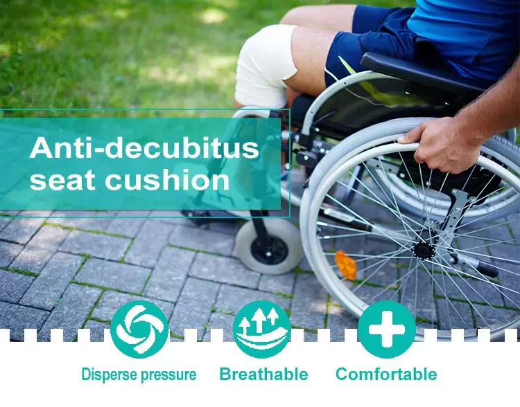 Air Seat Cushion (1)