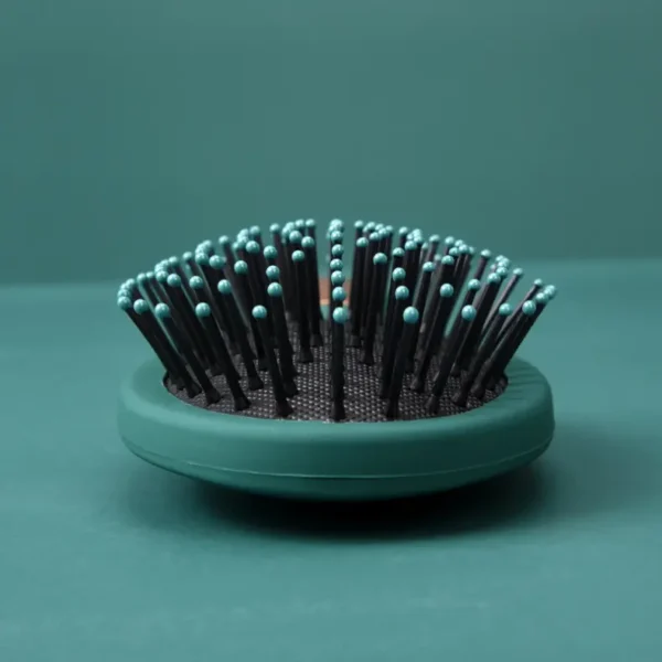 Detangling Brush (2)