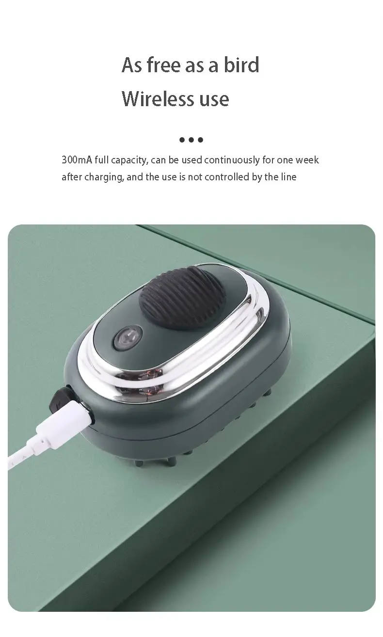 Head Hair Care Massager (7)