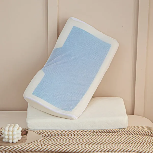 Memory foam Pillow (2)