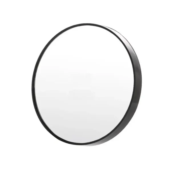 Suction Mirror 3x（4）