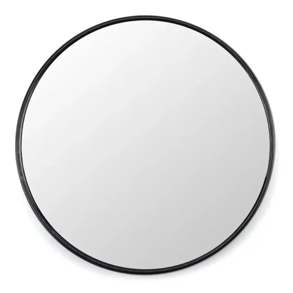 Suction Mirror 3x（7）