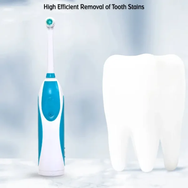 Electric Toothbrush (1)