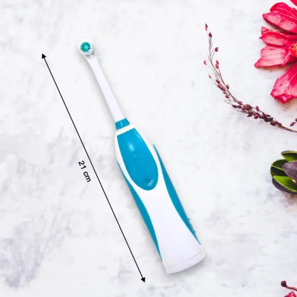 Electric Toothbrush (2)